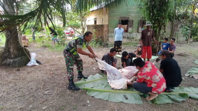 Babinsa Bantu Warga dalam Pemotongan Hewan Kurban, Wujud Kepedulian dan Kebersamaan