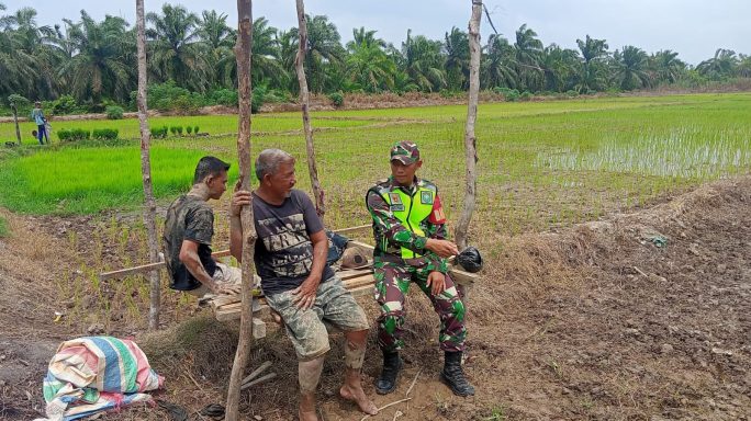 Babinsa Komsos Dengan Petani, Sebagai Wujud Kepedulian Guna Meningkatkan Hasil Pertanian