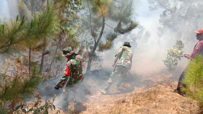 Lahan Terbakar, Babinsa Koramil 05/Linge Bersama Warga, Berjibaku Padamkan Api