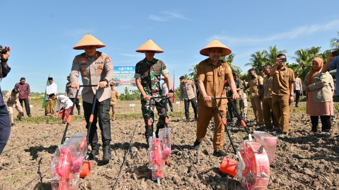 Dandim 0102/Pidie Hadiri Tanam Jagung Bersama di Padang Tiji,Tegaskan Komitmen TNI AD Dukung Swasembada Pangan