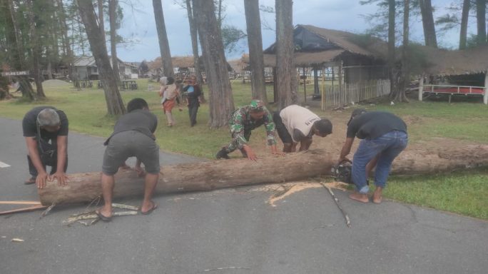 Pohon Tumbang Tutupi Jalan Babinsa Gerak Cepat Demi Keselamatan Warga