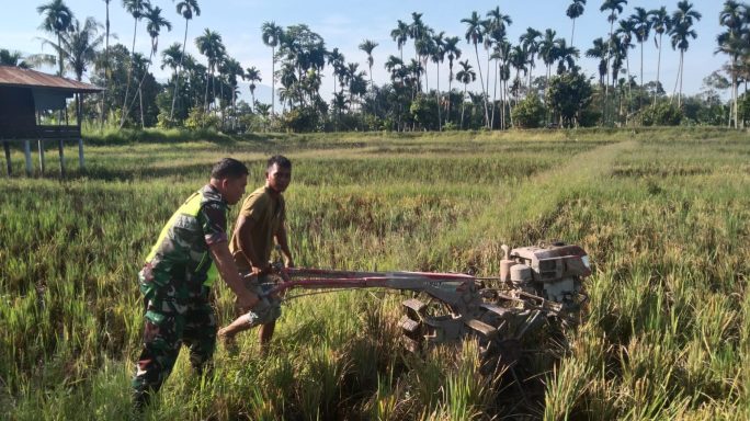 Babinsa Bantu Petani Bajak Sawah Dengan Traktor