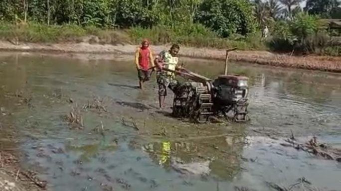 Percepat Masa Tanam Babinsa Bantu Bajak Sawah Petani