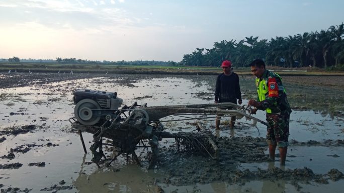 Babinsa Koramil 04/Bdh Bantu Warga Bajak Sawah, Ingatkan Pentingnya Semangat Dan Keikhlasan