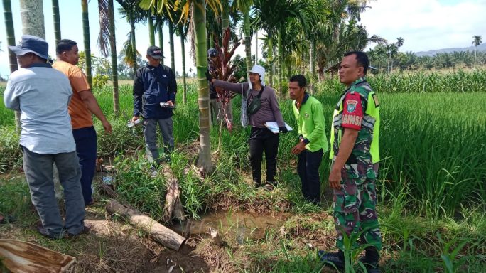 Antisipasi Musim Kemarau Babinsa Dampingi Tim Surve Lapangan Cek Irigasi di Kecamatan Tanoh Alas
