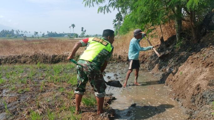 Babinsa Koramil 0108-07/Semadam Turun Sawah Buat Bedeng Pembatas Sawah di Desa Binaan