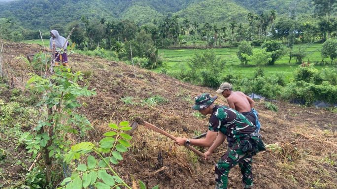 Yonif TP-857/GG Buka Lahan Tidur di Ds. Turuecut untuk Budidaya Kacang Tanah, Wujud Nyata TNI Hadir di Tengah Rakyat