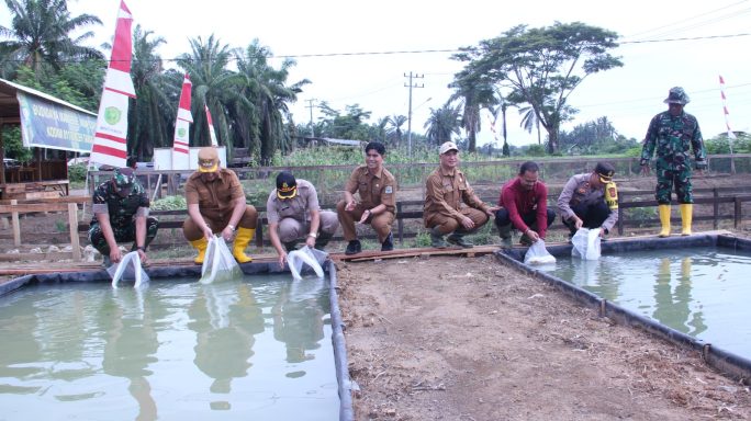 Kompi produksi adalah strategi TNI-AD dalam mendukung ketahanan pangan Nasional.