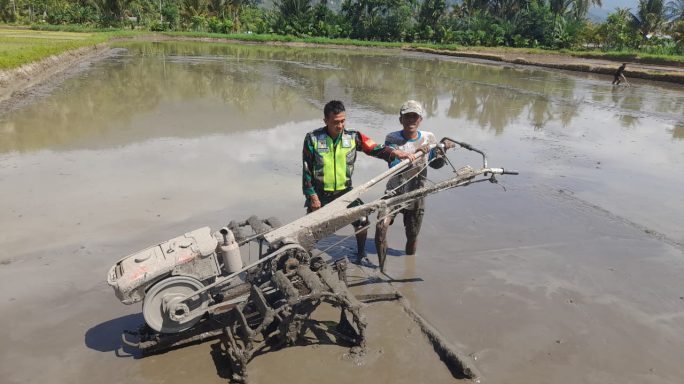 Babinsa Dampingi Petani Bajak Sawah Percepat Masa Tanam