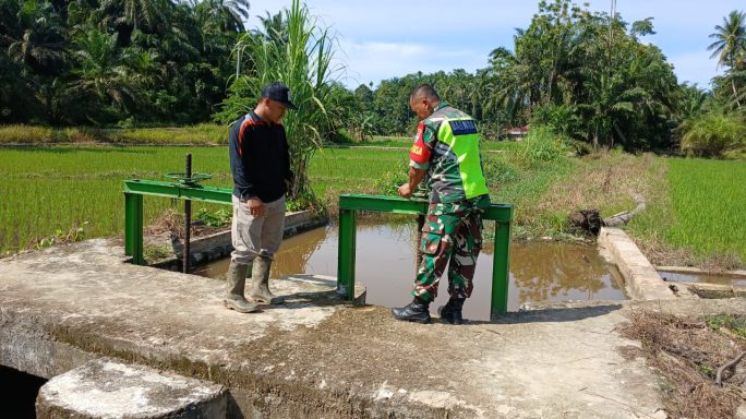 Babinsa Bersama Ketua Poktan Jaya Tani Mengecek Pintu Air Untuk Kelancaran Irigasi