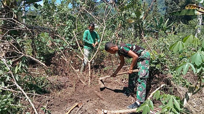 PEMBERSIHAN LAHAN PERCONTOHAN MILIK MASYARAKAT SELUAS 3 HA