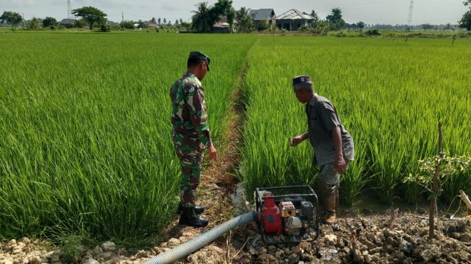 Babinsa Bantu Petani Mengairi Sawah Dengan Mesin Pompa Air