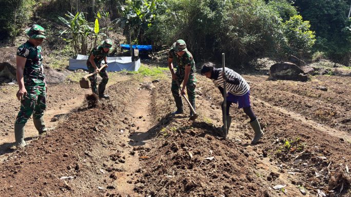 Sinergi TNI dan Petani : Yonif TP 857/GG Gandeng Warga Desa Mane Kembangkan Kebun Cabai