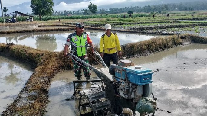 Wujud Kepedulian, Babinsa Bantu Petani Bajak Sawah
