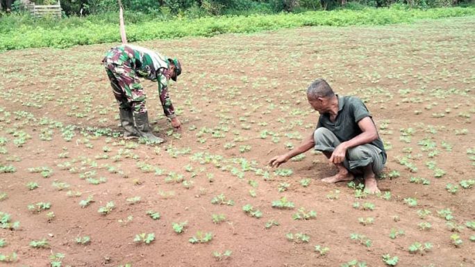 Babinsa Koramil 05/Darul Makmur Dorong Pemanfaatan Lahan Tidur untuk Ketahanan Pangan