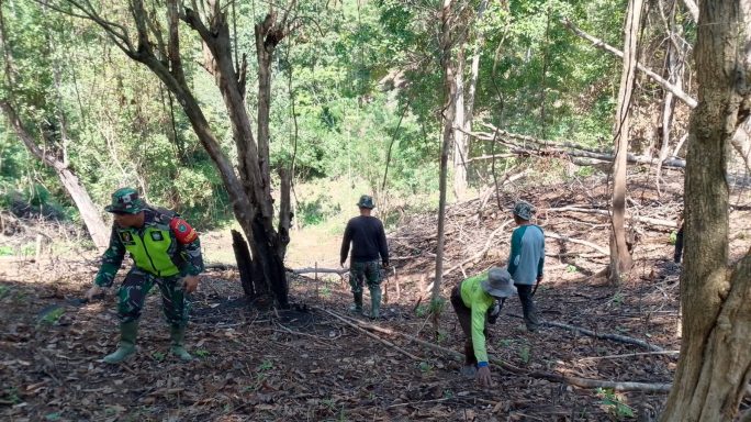 Babinsa Koramil 13/Keumala, Kodim 0102/Pidie Bantu Warga Desa Cot Kreh Tanam Kunyit untuk Dukung Ketahanan Pangan Daerah