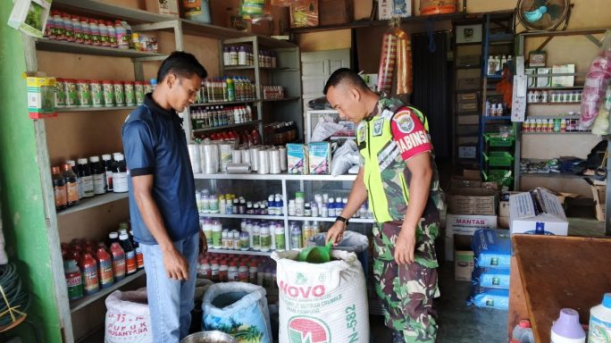 Jaga Kestabilan Harga Pupuk dan Obat Pertanian Babinsa Turun Cek Kelapangan