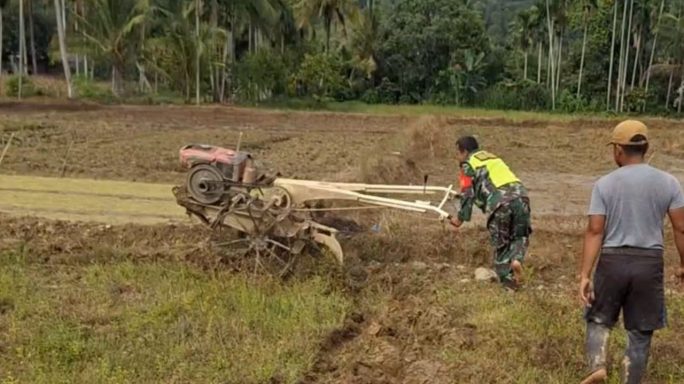 Anggota Koramil 0108-04/Babussalam Bajak Lahan Ketahanan Pangan Wilayah
