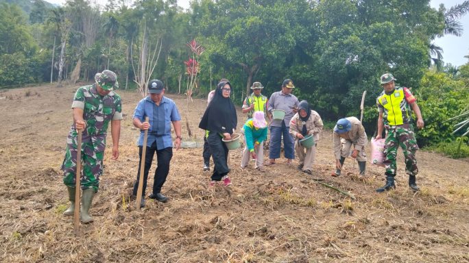 Babinsa Koramil 0108-07/Semadam Bersama Kelompok Tani Tanam Padi Gogo