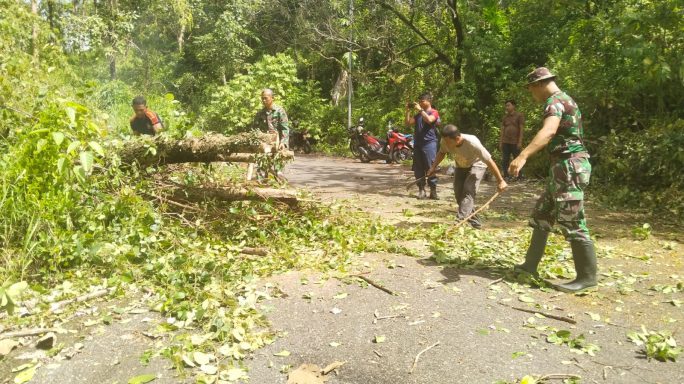 Anggota Koramil 01/Tapaktuan Bersama Damkar dan Warga Berjibaku Bersihkan Pohon Tumbang di Jalan Menuju Panton Luas