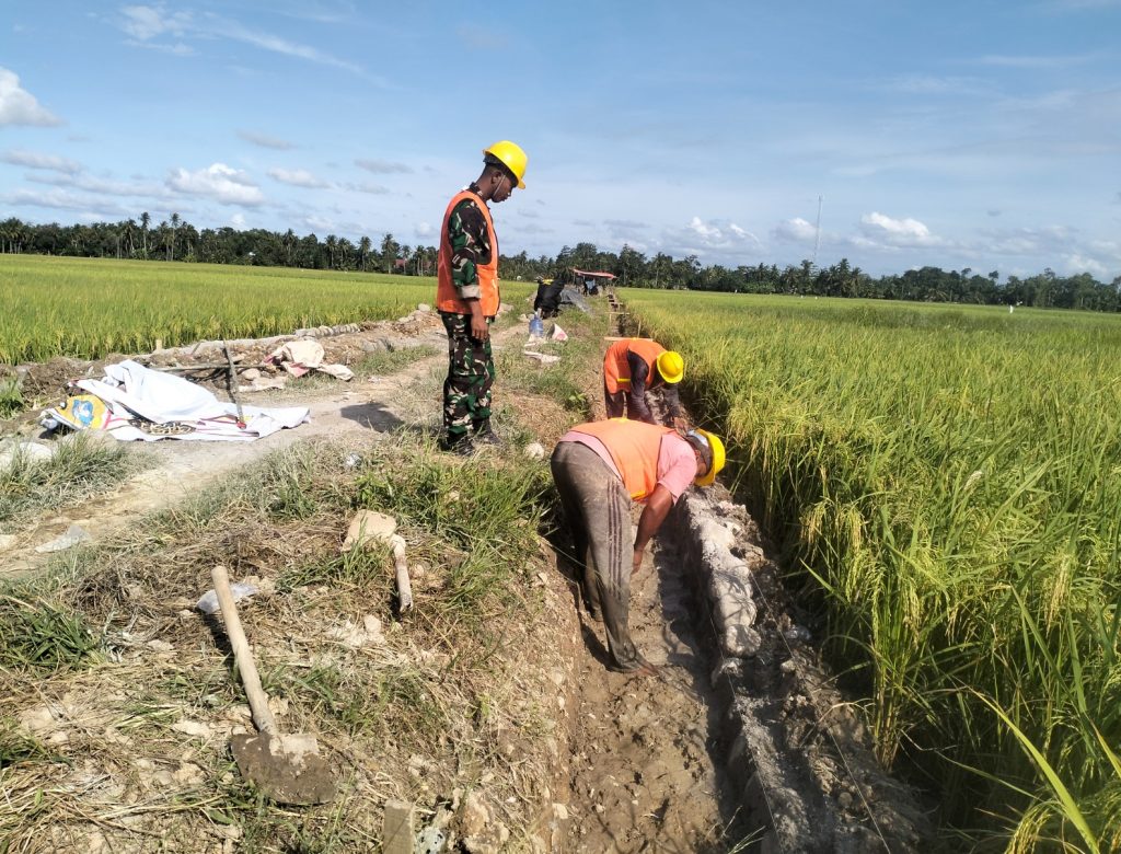 Kerja sama dengan BWS, Kodam Iskandar Muda bangun irigasi tersier di Aceh Utara.