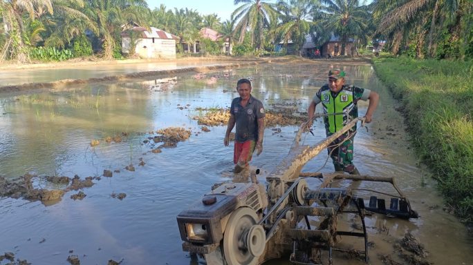 Optimalkan Hanpangan, Babinsa Teluk Kepayang Bajak Sawah Gunakan Traktor
