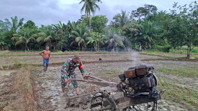 Babinsa Koramil 06//Manyak Payed Dampingi Petani Bajak Sawah Gunakan Traktor