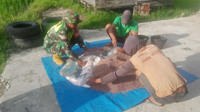 Agar Tanaman Menjadi Subur Babinsa Dampingi Petani Pupuk Padi