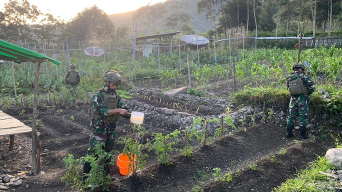Satgas Yonif 112/DJ Dorong Program Ketahanan Pangan Nasional Di Papua