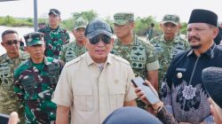 Picsart_26-02-13_18-34-30-451 Picsart_26-02-13_18-34-30-451